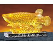 招財金龍魚